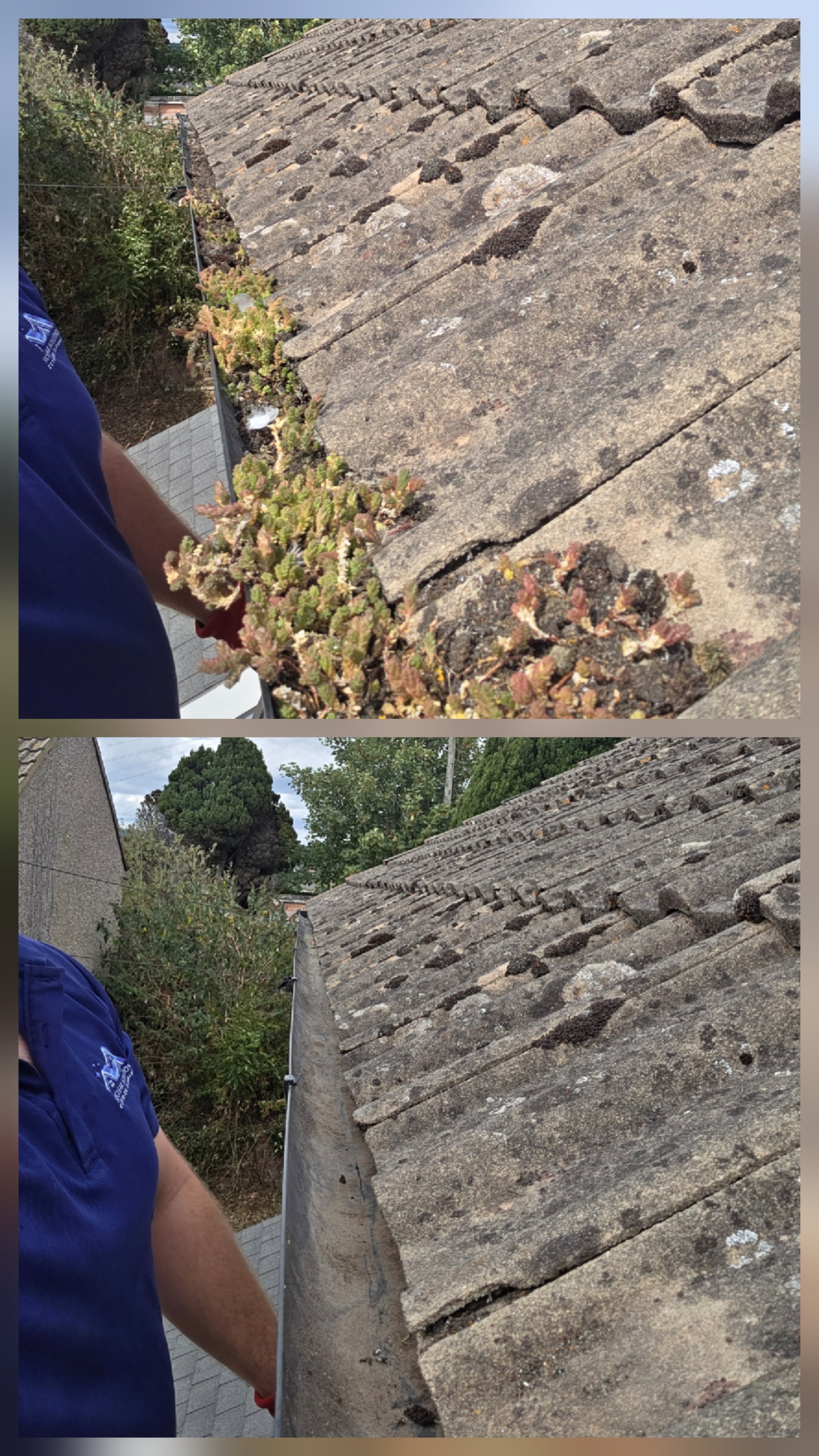 Example of previous work by SkyClear Solutions in Crawley — photo 8
