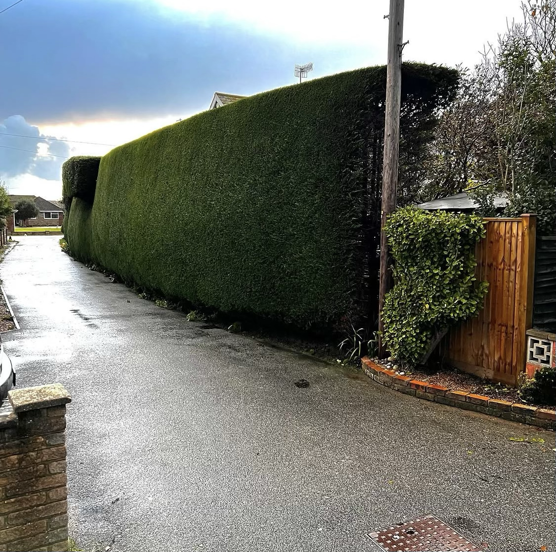 Example of previous work by Arboriscapes Tree Surgery in Worthing — photo 1