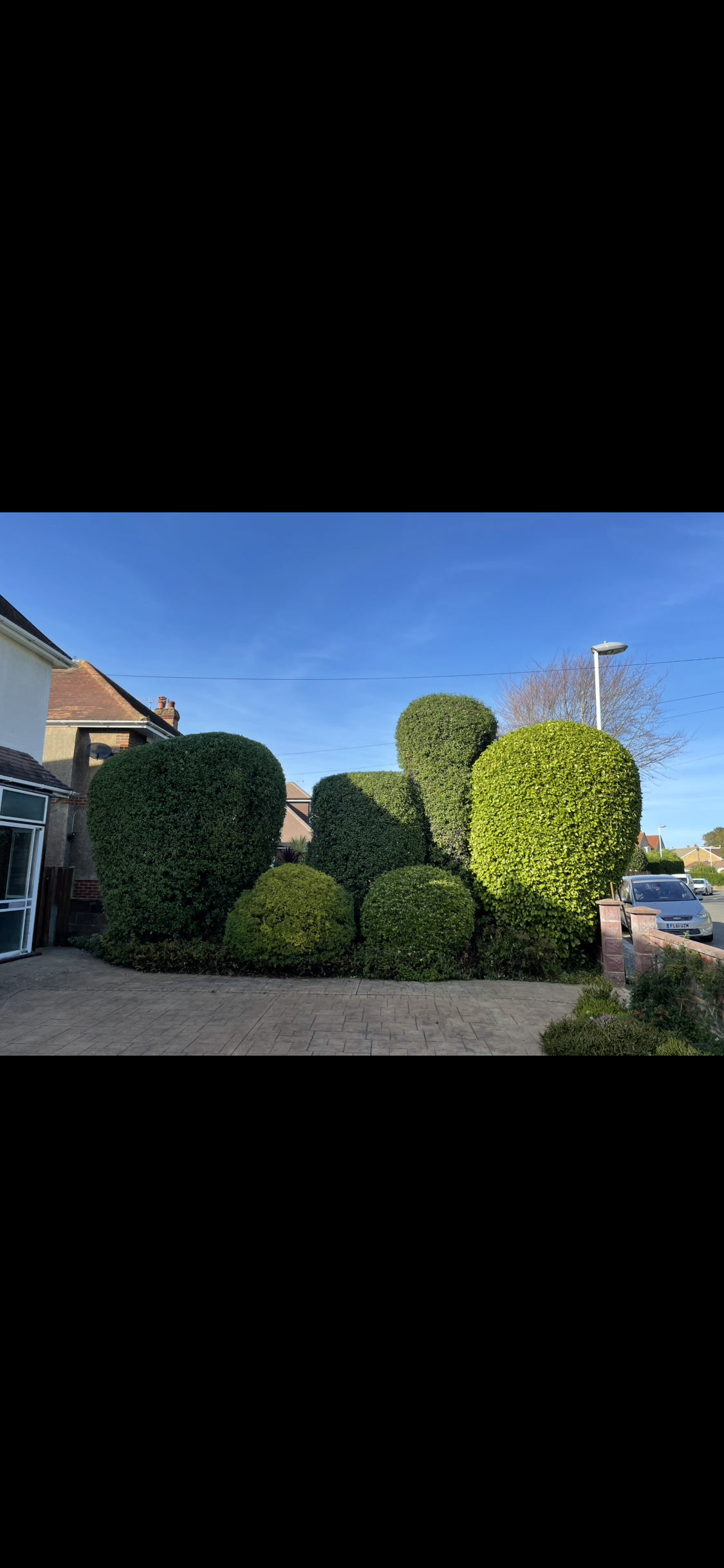 Example of previous work by Arboriscapes Tree Surgery in Worthing — photo 2
