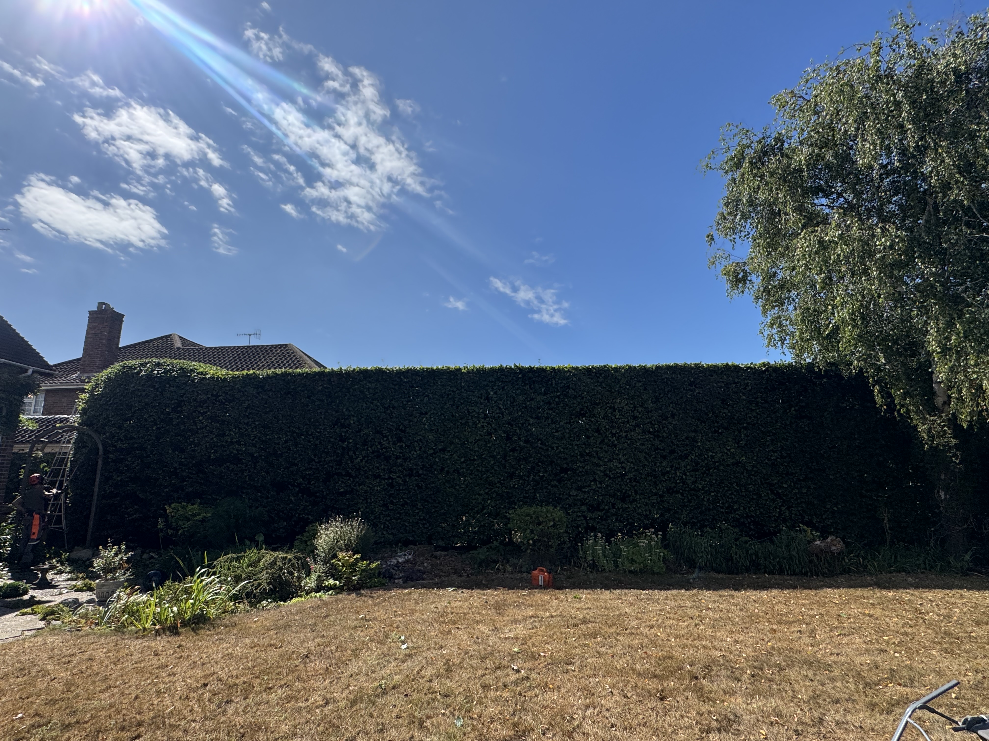 Example of previous work by Arboriscapes Tree Surgery in Worthing — photo 3